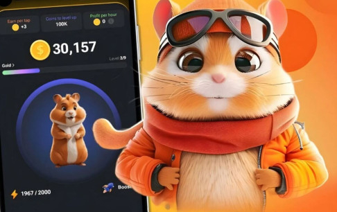 How Dose Hamster Software Attract Audience by Using Gamification?